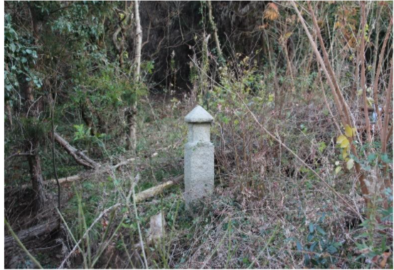 赤穂根島 かみじま事典